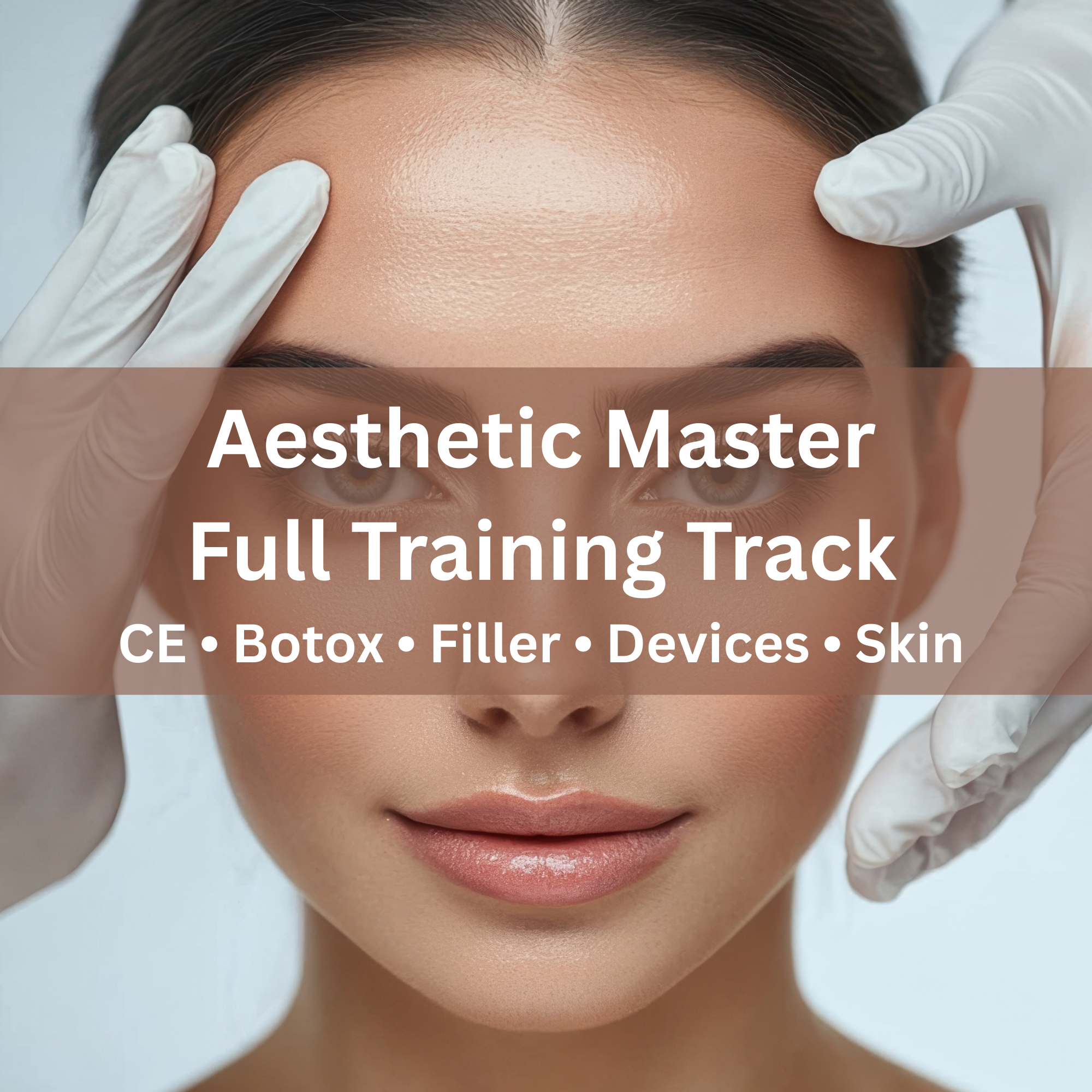 Aesthetic Master Program (Full Track)